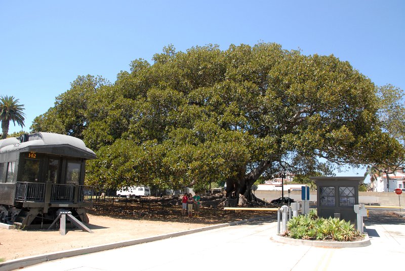 2011-07-24_Santa Barbara_Tag29_035.jpg